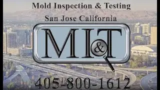 Mold Inspection & Testing San Jose