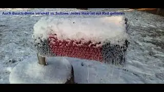 Schneewinter 2026 Outback Lorsch Video