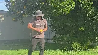 Las naranjas estan acidas.