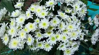 A simple arrangement flower for a funeral #live #flower  
