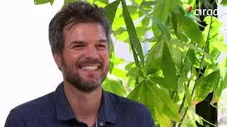 Ghislain Vieilledent, écologue, spécialiste des forêts tropicales