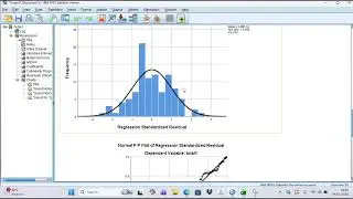 Analisis Data Menggunakan SPSS: Input Data dari Excel dan Uji Asumsi Klasik