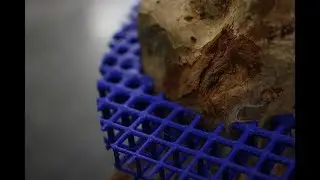 Symbio: when nature meets tech