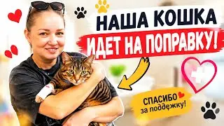 ВЛОГ ! Переживаем не легкие времена из-за аллергии ! Кошка идет на поправку !