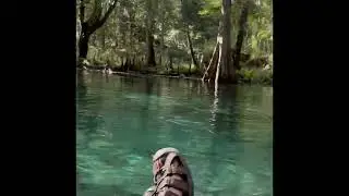 Ichetucknee Springs Florida 2025...Tubing through the beautiful blue Swamps??