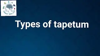 Types of tapetum