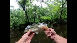 North Anna River using Zman plastics to catch large and small mouth bass in Virginia.
