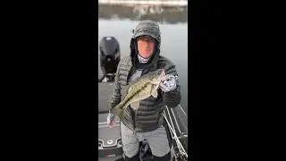 Table Rock Lake Video Fishing Report Feb 8, 2023