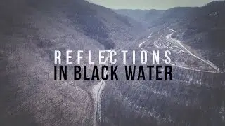 Reflections In Black Water
