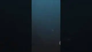 The mystery of the ocean  #underwater #titanic #ocean #science #space #dark #horror #mysterious #fyp