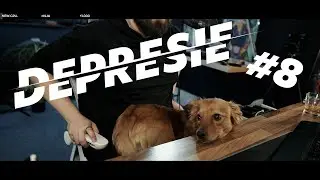 Clipuri care vindeca DEPRESIA! Stream CC #8