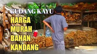 UPDATE HARGA BAHAN KANDANG DOMBA) KAMBING KAYU MOHONI HARGA MURAH