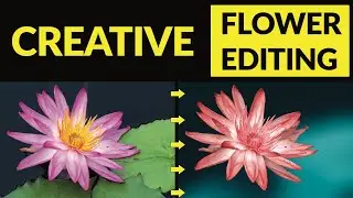 Creative flower photography editing