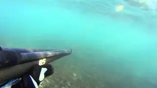 Sony Action Cam HDR-30V (Underwater FPS Test)