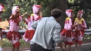 Villaverde de Guadalimar. Fiestas 2008. Desfile de carrozas.