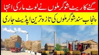 Today's sugarcane rates, entry of Sindh sugar mills | Sugarcane and sugarmills latest update
