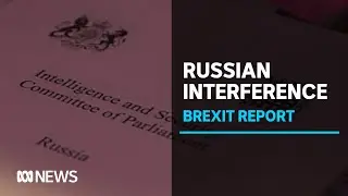 Long-awaited report says UK Government failed to investigate Russian Brexit  interference | ABC News