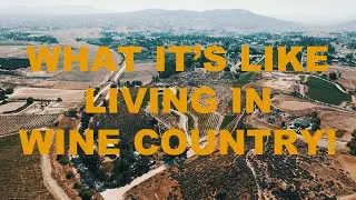 The Pros and Cons of Living in Temecula's Wine Country