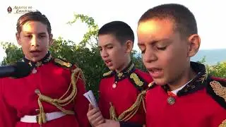 ARAUTOS