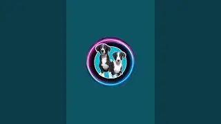 Desi Pet Zone की ओर good night दोस्तों 😴🐕