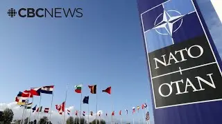 Poland has invoked Article 4 of NATO's treaty after Russian drones. What does that mean?