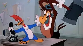 Woody Woodpecker | Wet Blanket Policy | 1948 | Classic Cartoon