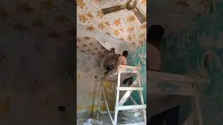 wallpaper remove to Asian primer working#asianpaints #colourpainter #painter #asianpaints #shorts