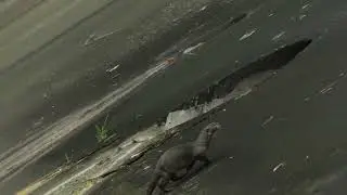 Wildlife Sightings_ Chance Upon Lone Smooth-coated Otter In Singapore_ 11 August 2025_ 8.01am