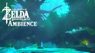 Zelda BotW Ambience |  Korok Forest at night in the rain