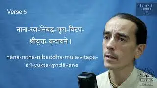 Ṣaḍ-gosvāmy-aṣṭaka