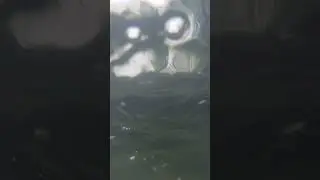 video vadr