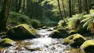 High Mountain Nature Sounds - Crisp River Sounds & Morning Bird Sounds