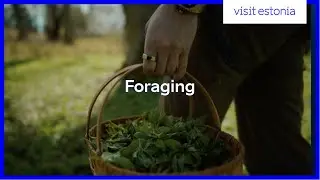 Foraging