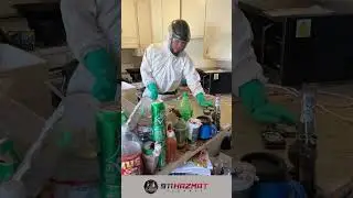 Kitchen Hoarding Cleanup!