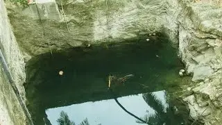 A Big Water Well with Beautiful Fish