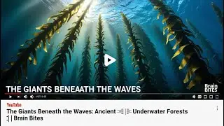 The Giants Beneath the Waves: Ancient Underwater Forests | Brain Bites