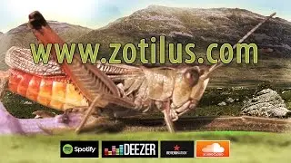 #ZoTiLuS#Deroses Academy