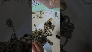 Part 6 jewelry untangle of massive bulk buy