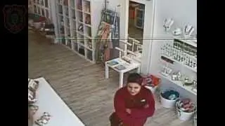 WPD Web News Update: Shoplifting Suspect ID