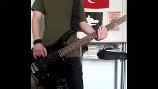 Iron Maiden - The Evil That Men Do Bass Cover