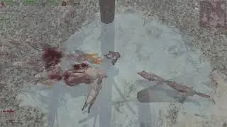 DEAD FRONTIER Eviscerator & Gut Stitcher DPS Build
