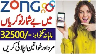 Zong Pakistan Jobs 2024 | Zong Careers Apply at www.zong.com.pk