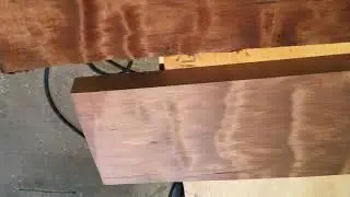 Ancientwood Ray 4