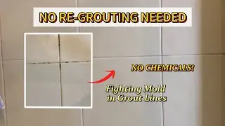 Remove Mold From Tile Grout FAST | No Chemicals, No Re-Grouting Needed!