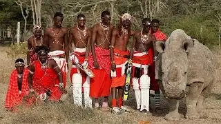 Kenya cricket charity tournament for conservation [no comment]