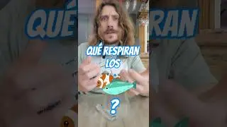 Todos Creen Que Los Peces Respiran H₂O (Y Es Falso)