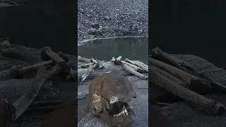 The Mystery of Roopkund Lake &ndash; The Skeleton Lake of India #terrifyingtales #history