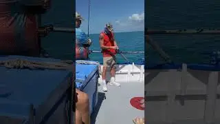 how to fish at harbors Hubbards Marina