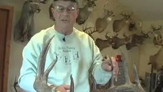 Measuring Antlers