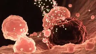 #CAR-NK Cell Therapy: Does It Change My DNA? Is it safe? Is right for a loved one? What?